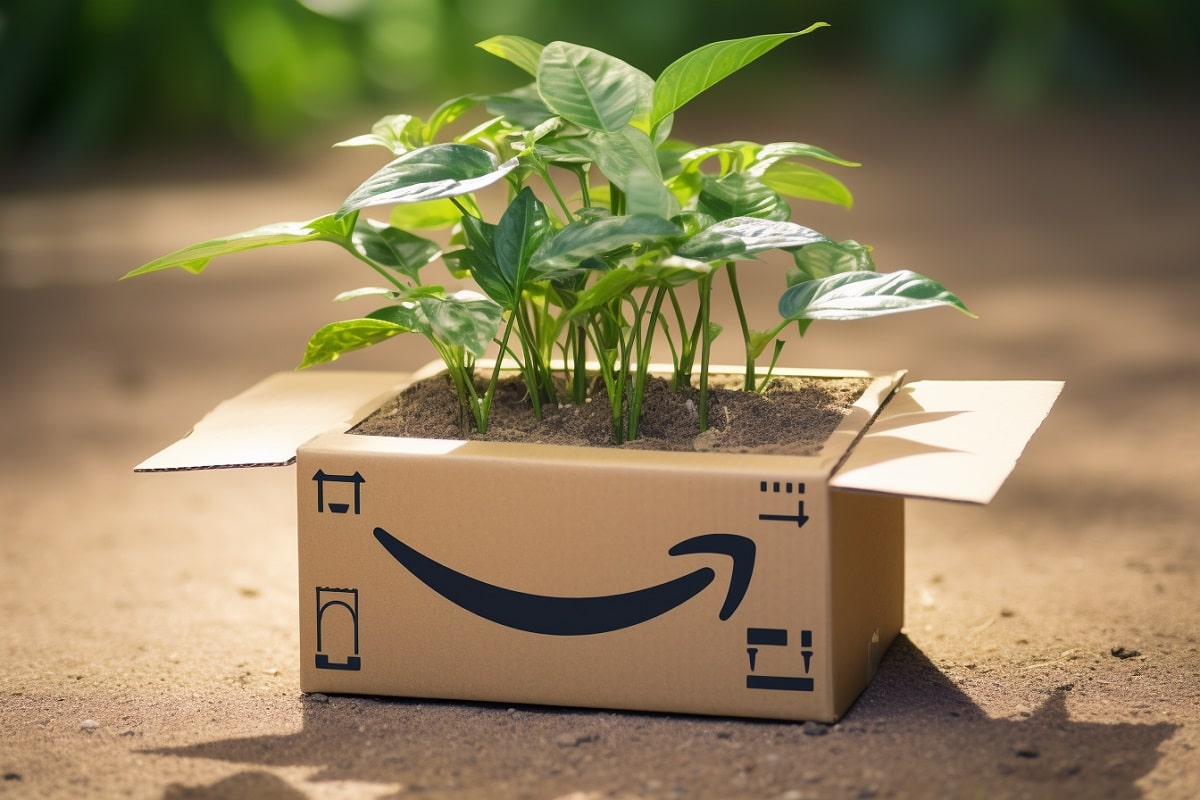 How to Grow Your Online Business With Amazon