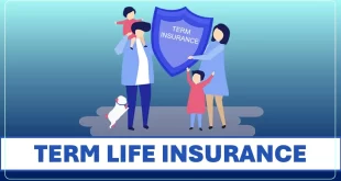 Term Life Insurance
